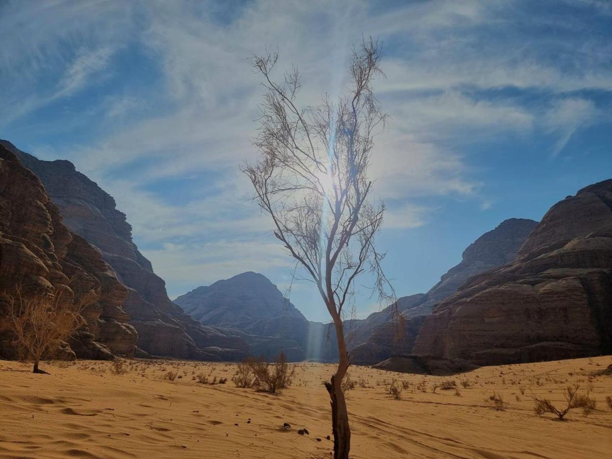 Wadi Rum Oscar Camp المظهر الخارجي الصورة